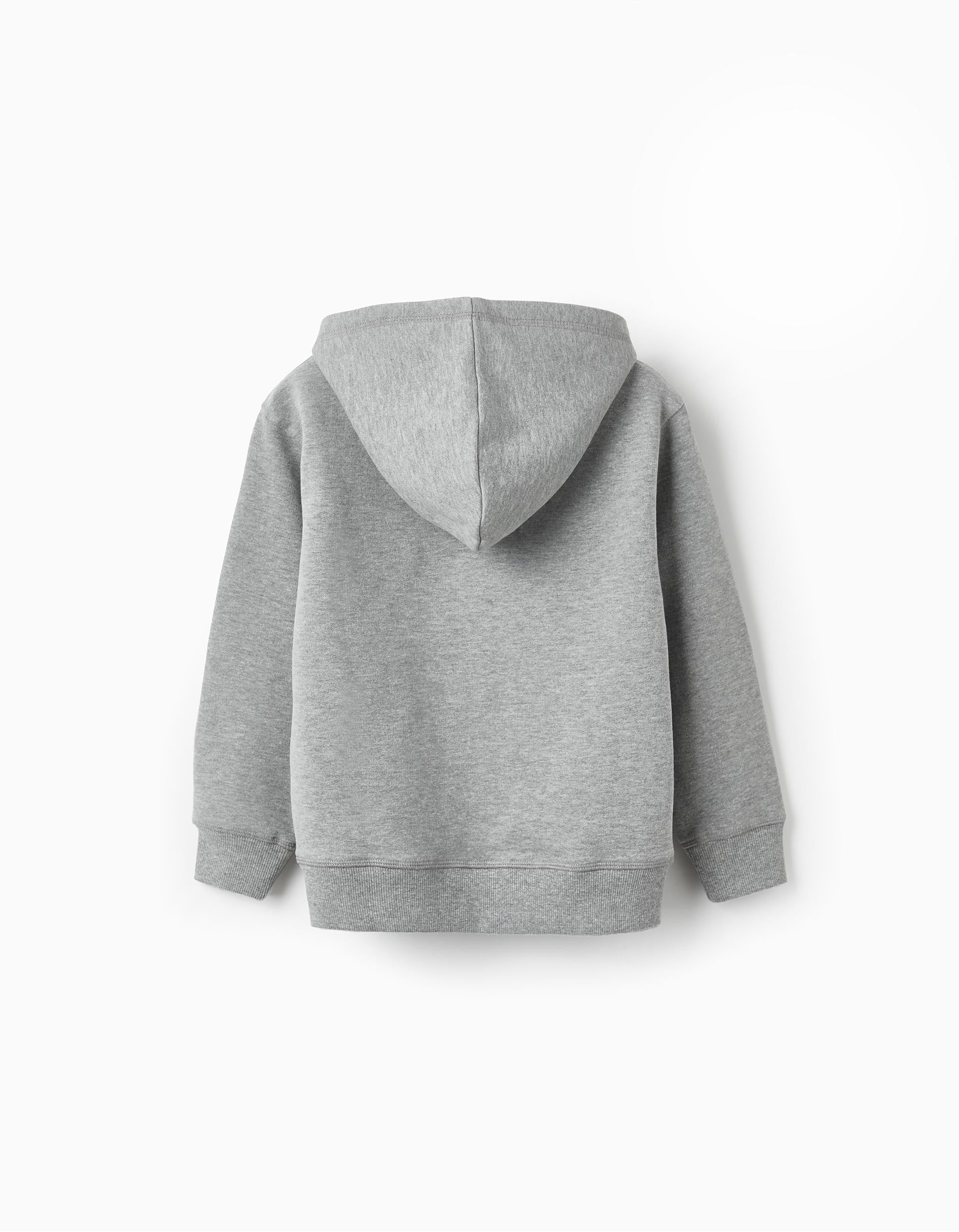 Sweatshirt with Hood for Boys 'DC Justice League', Grey