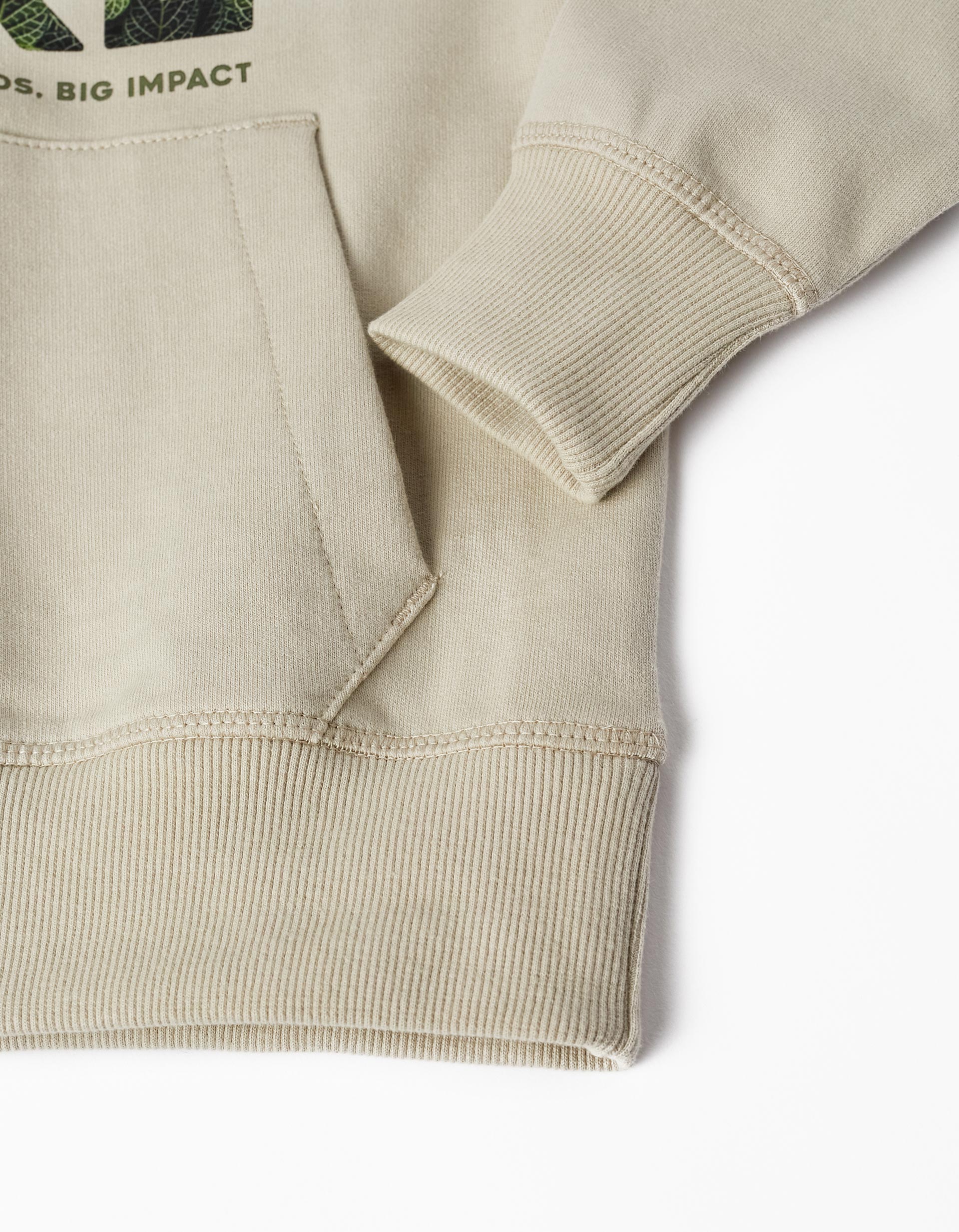 Hooded Sweatshirt for Boys 'Nature', Light Grey