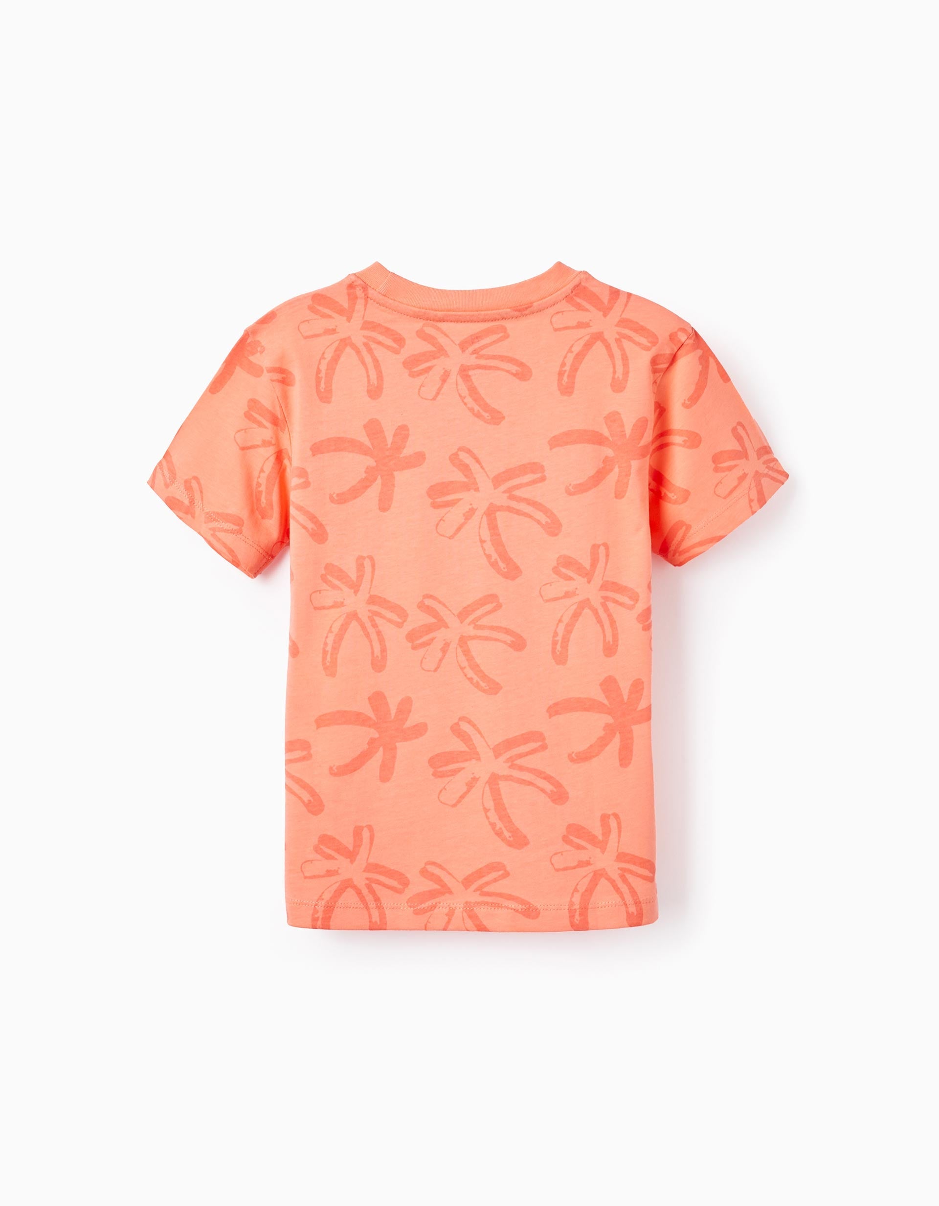 2 Cotton T-shirts for Boys 'Sunset', White/Coral