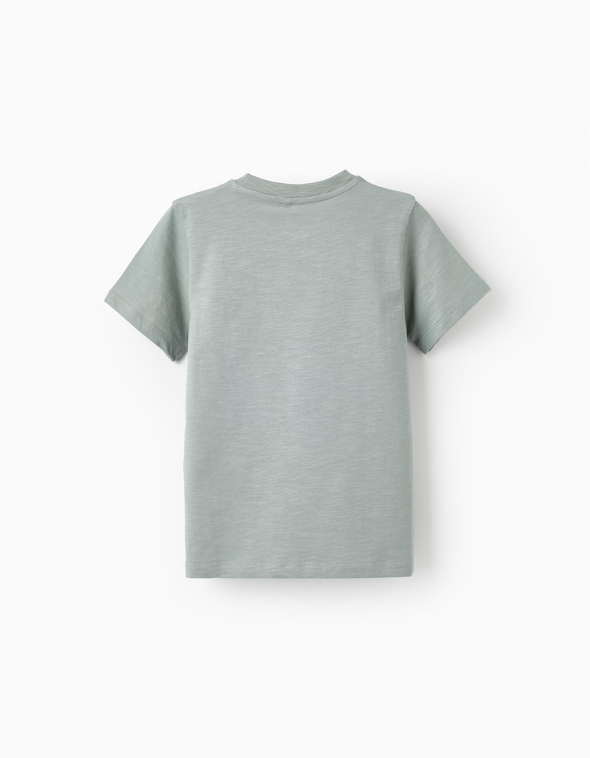 Short Sleeve T-Shirt for Boys 'Sicilian Days', Green