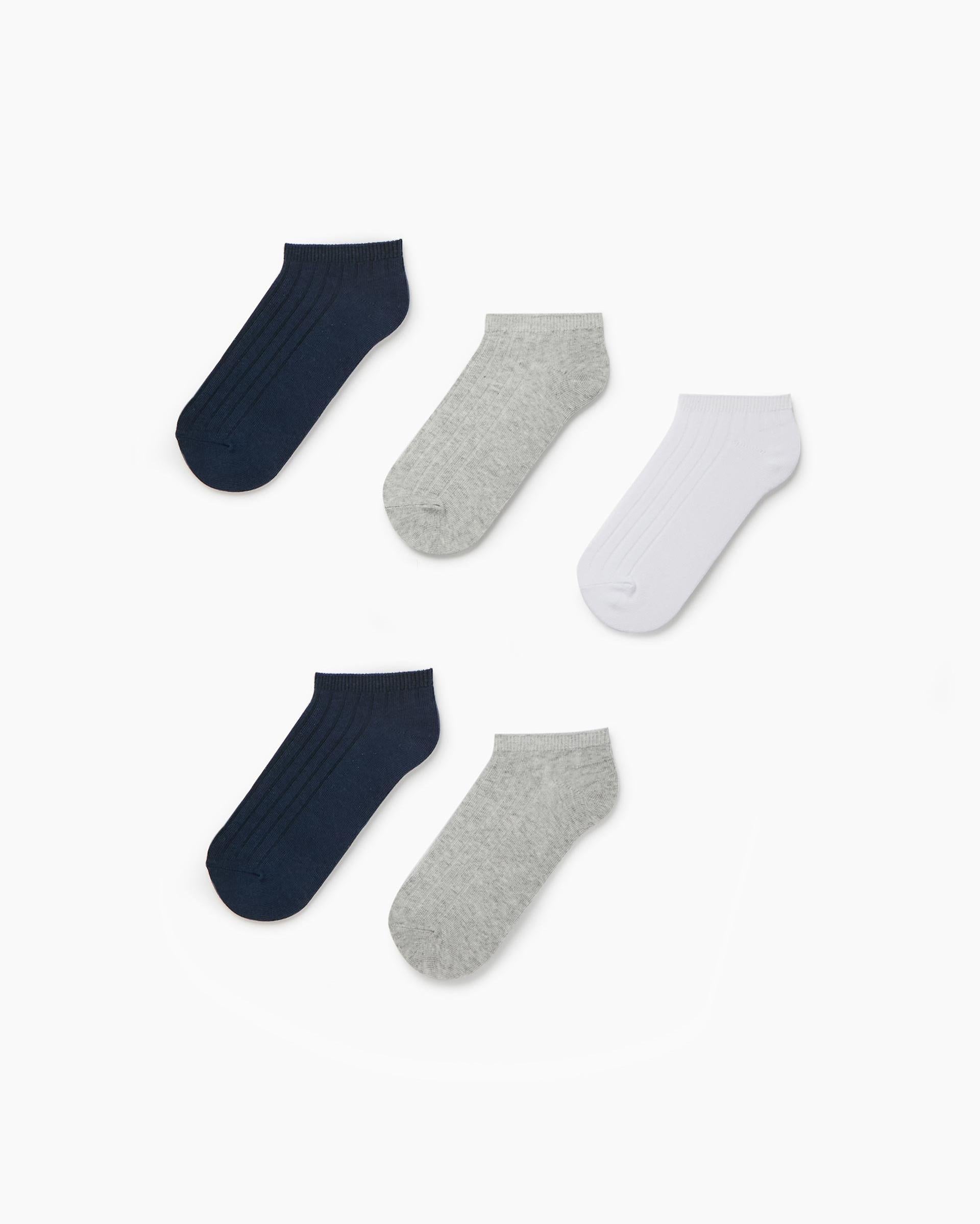Pack of 5 Short Ribbed Socks for Boys, Multicolor
