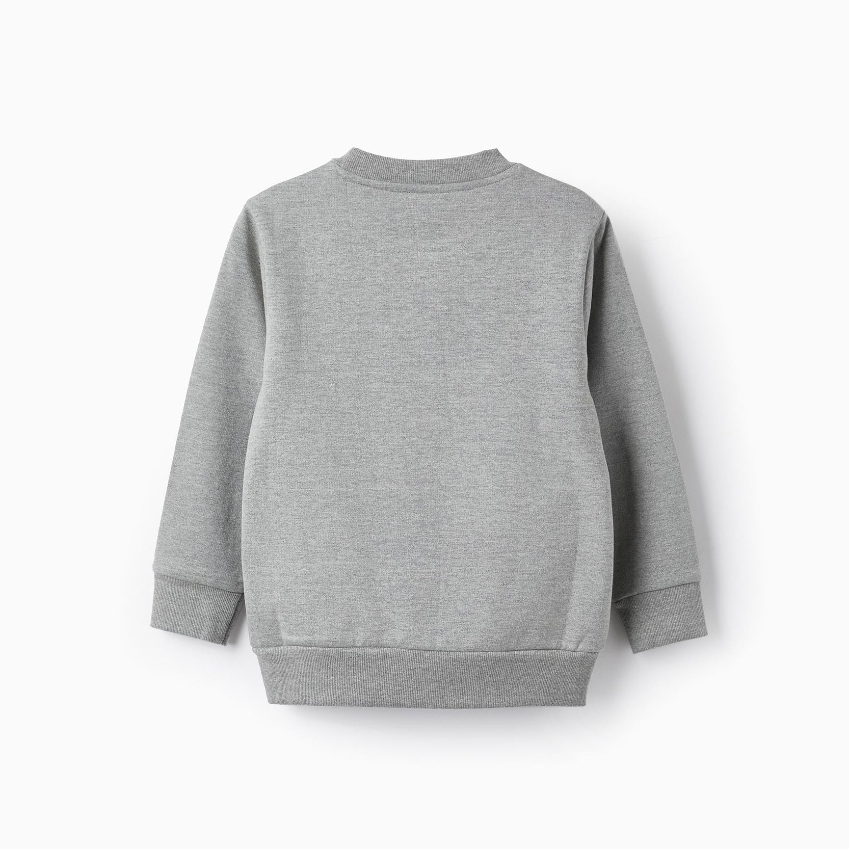 Cotton Sweatshirt for Boys 'Pokémon', Grey