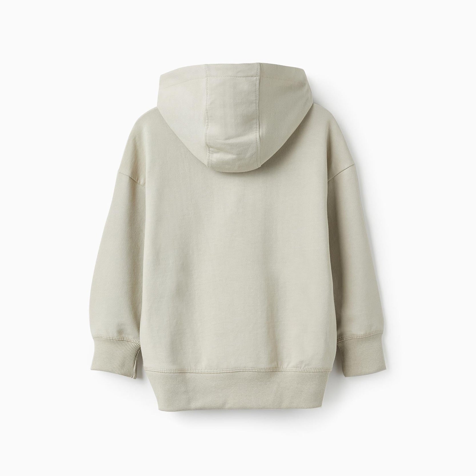 Hooded Sweatshirt for Boys 'Nature', Light Grey