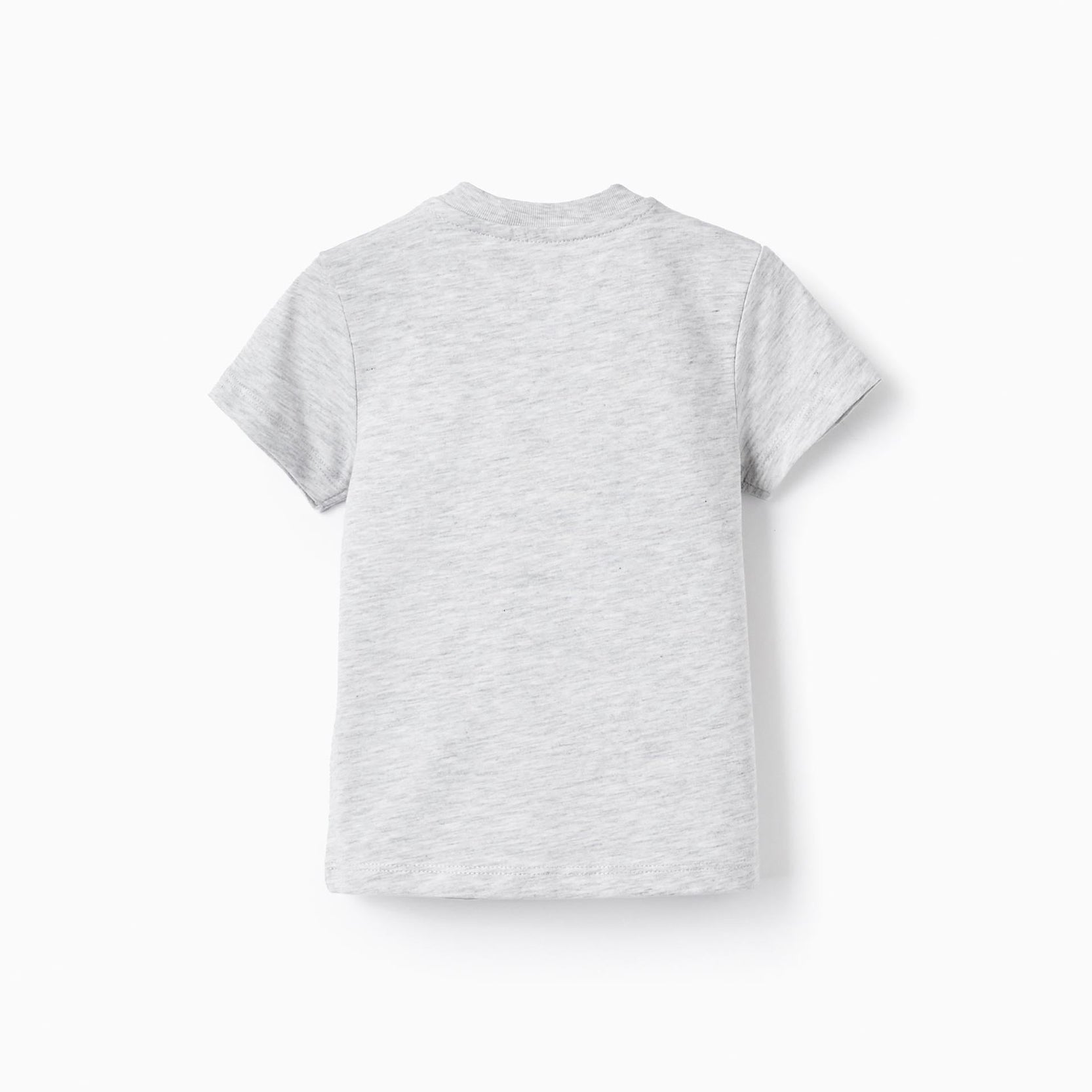 Cotton T-shirt with Printed Design for Baby Boys 'Friends&Sea', Grey