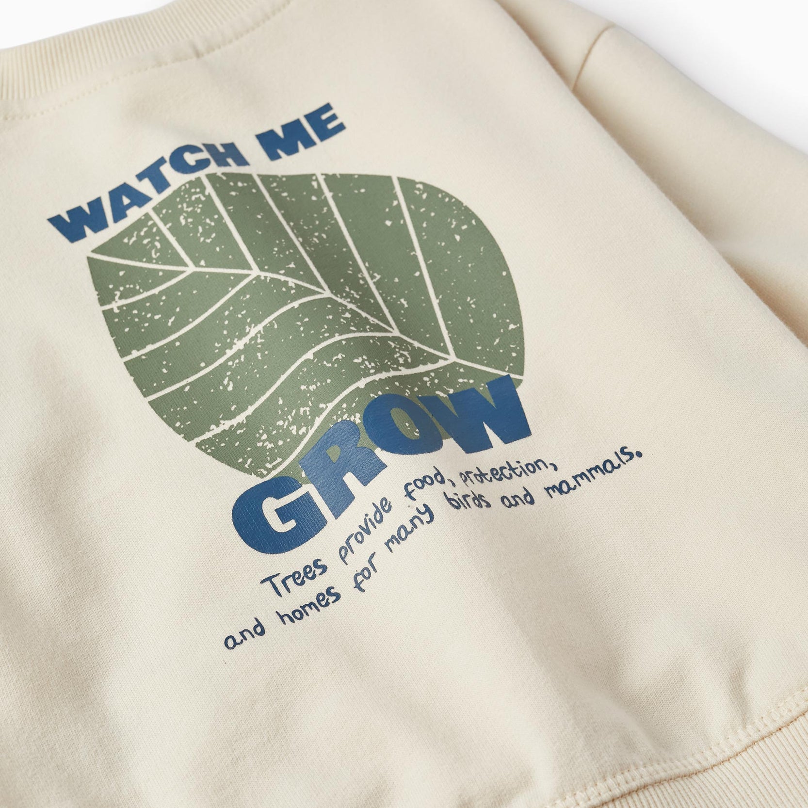 Sweatshirt for Baby Boy 'Watch Me Grow', Light Beige