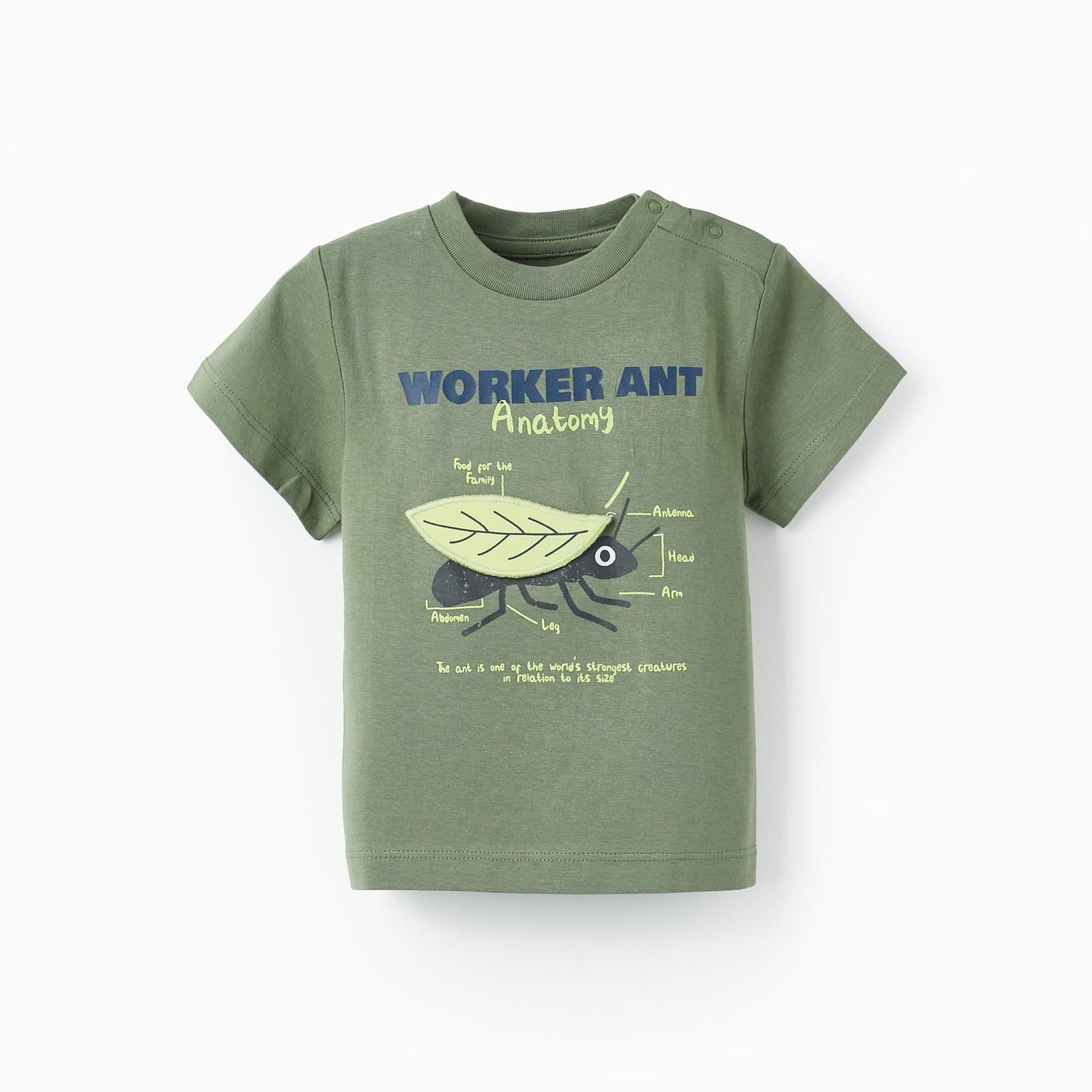 Short Sleeve T-Shirt with Embossed Leaf for Baby Boys, Green