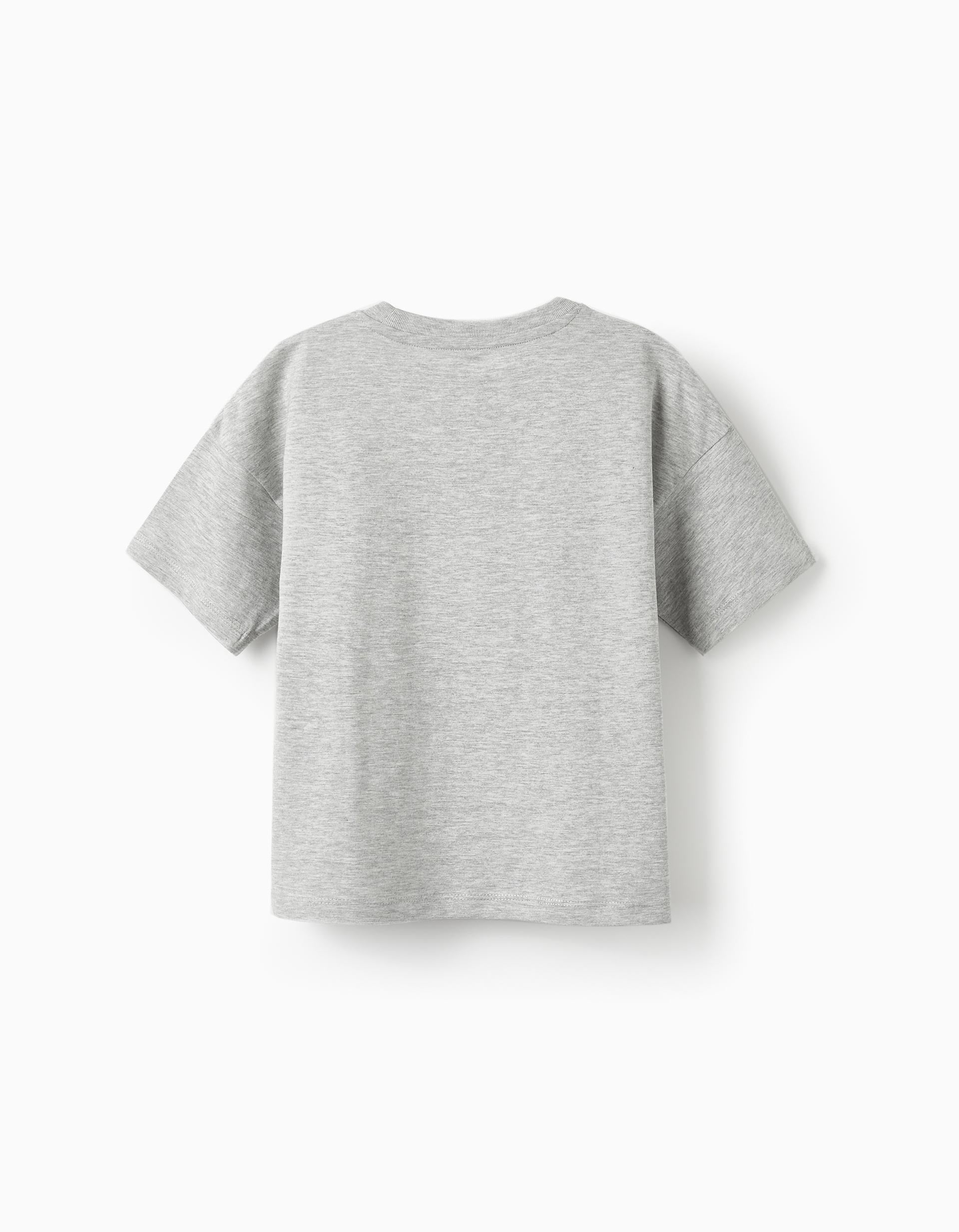 Cotton T-Shirt for Boys 'Nature Takeover', Grey