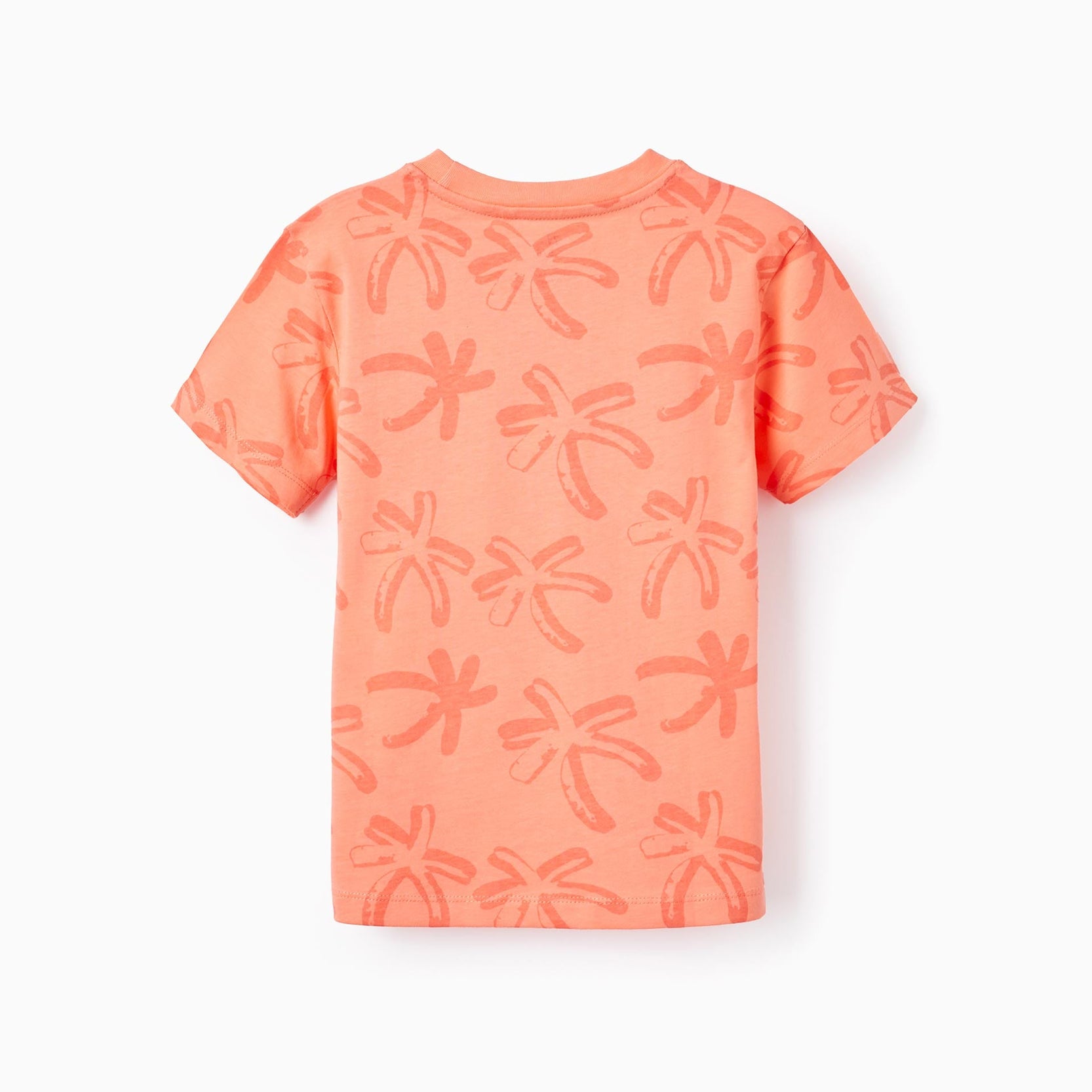 2 Cotton T-shirts for Boys 'Sunset', White/Coral