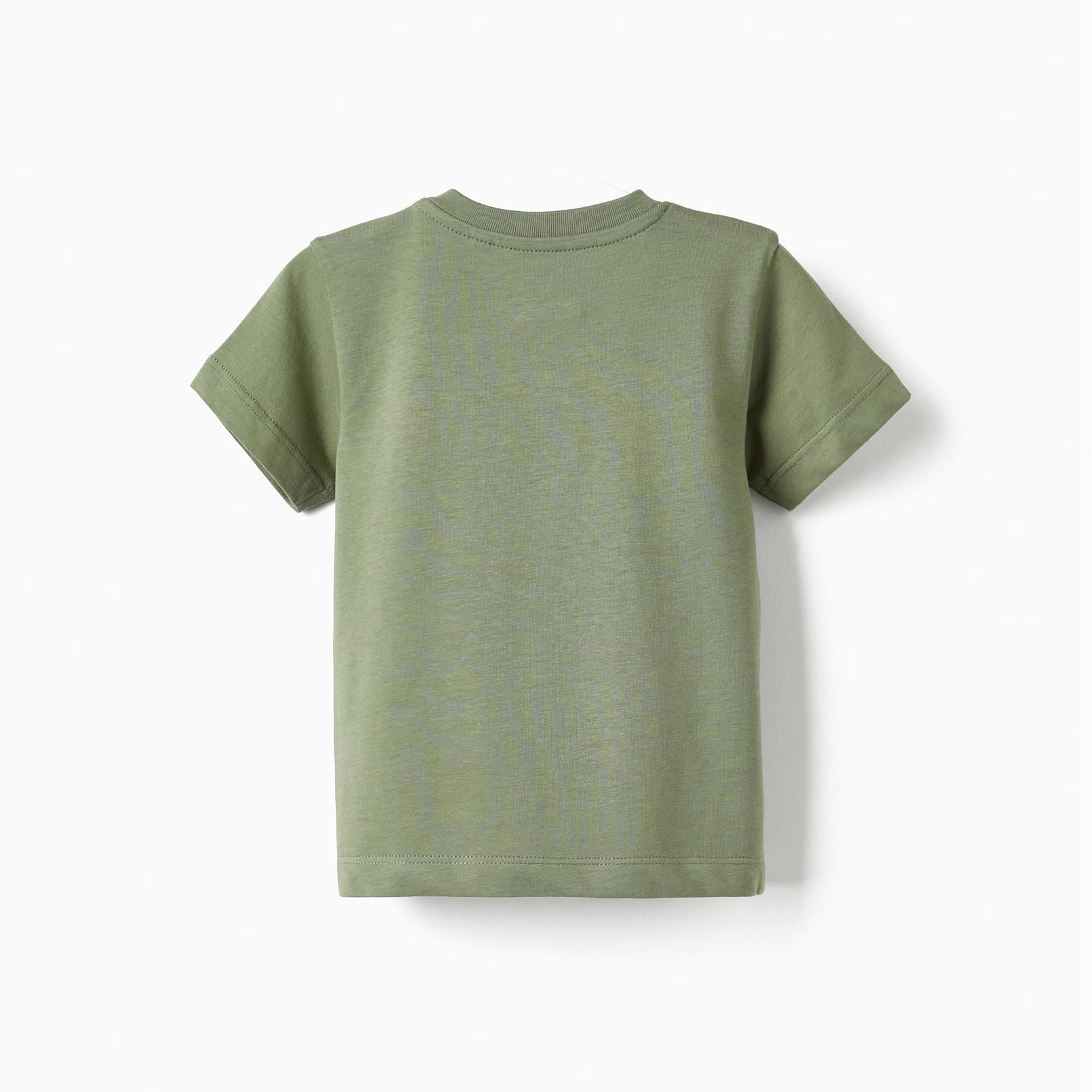 Short Sleeve Cotton T-Shirt for Baby Boys 'Joy-Leaf', Green