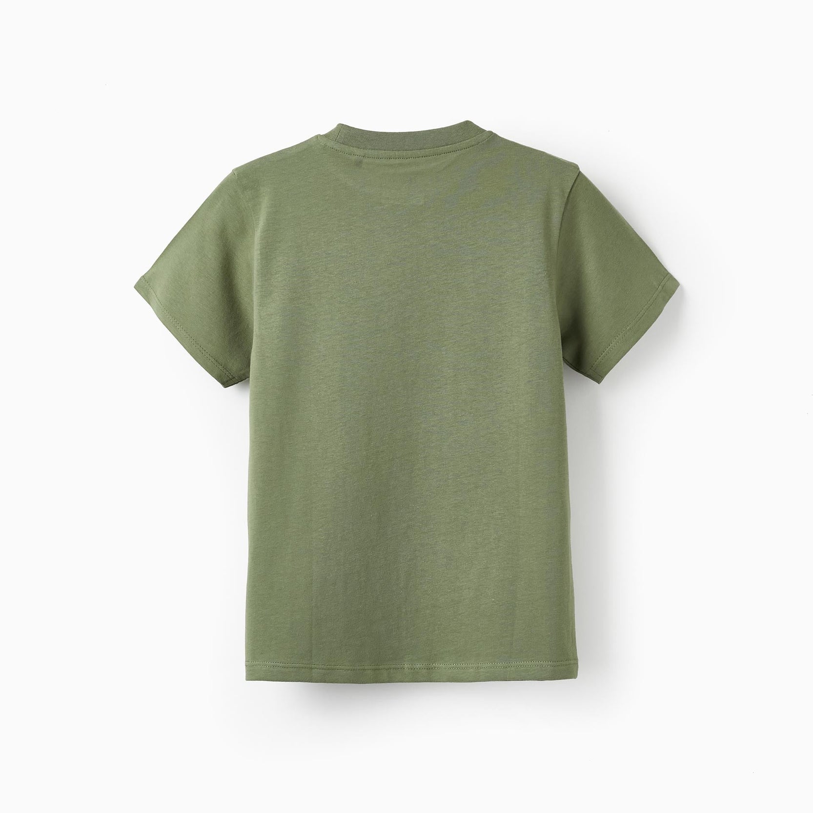 Cotton T-Shirt for Boys 'Being Green', Green