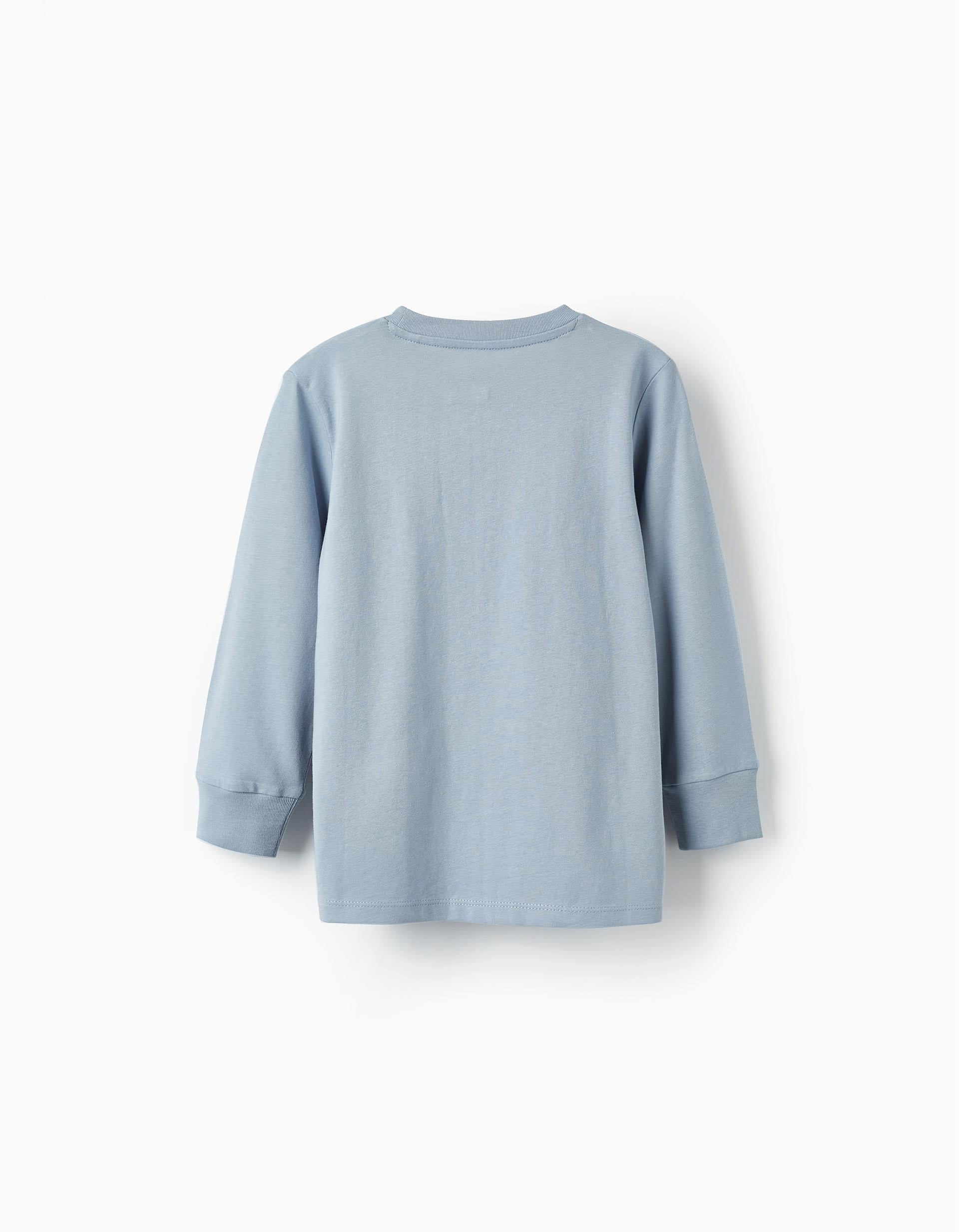 Long Sleeve T-Shirt for Boys 'Birds Watch', Light Blue