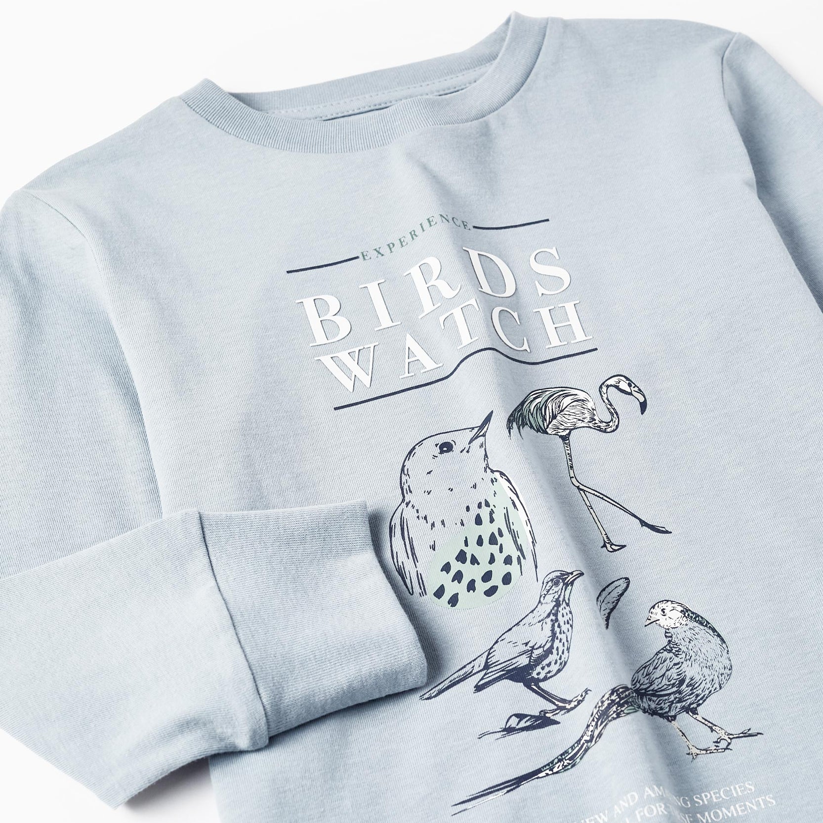 Long Sleeve T-Shirt for Boys 'Birds Watch', Light Blue