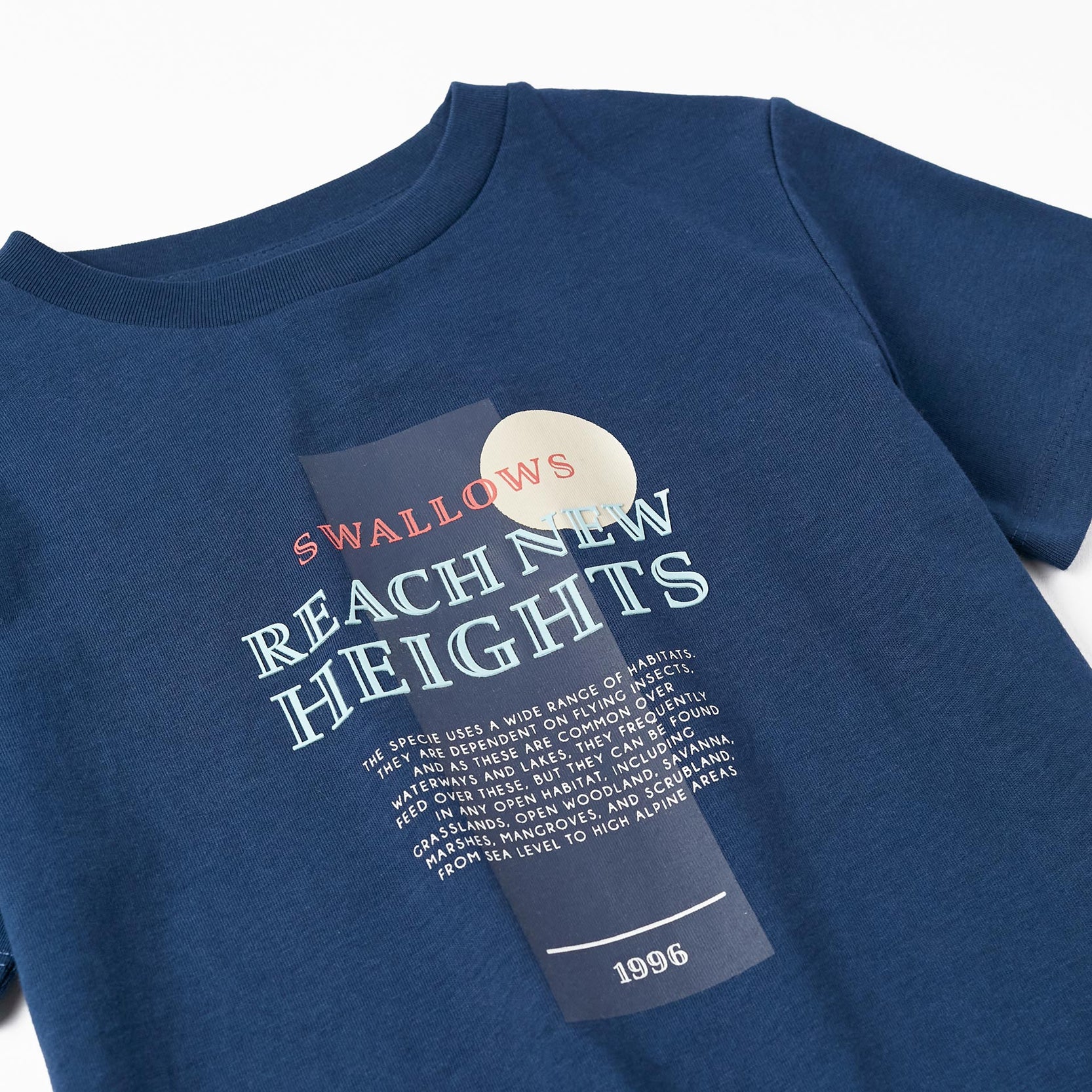Short Sleeve T-Shirt for Boys 'Swallows', Dark Blue