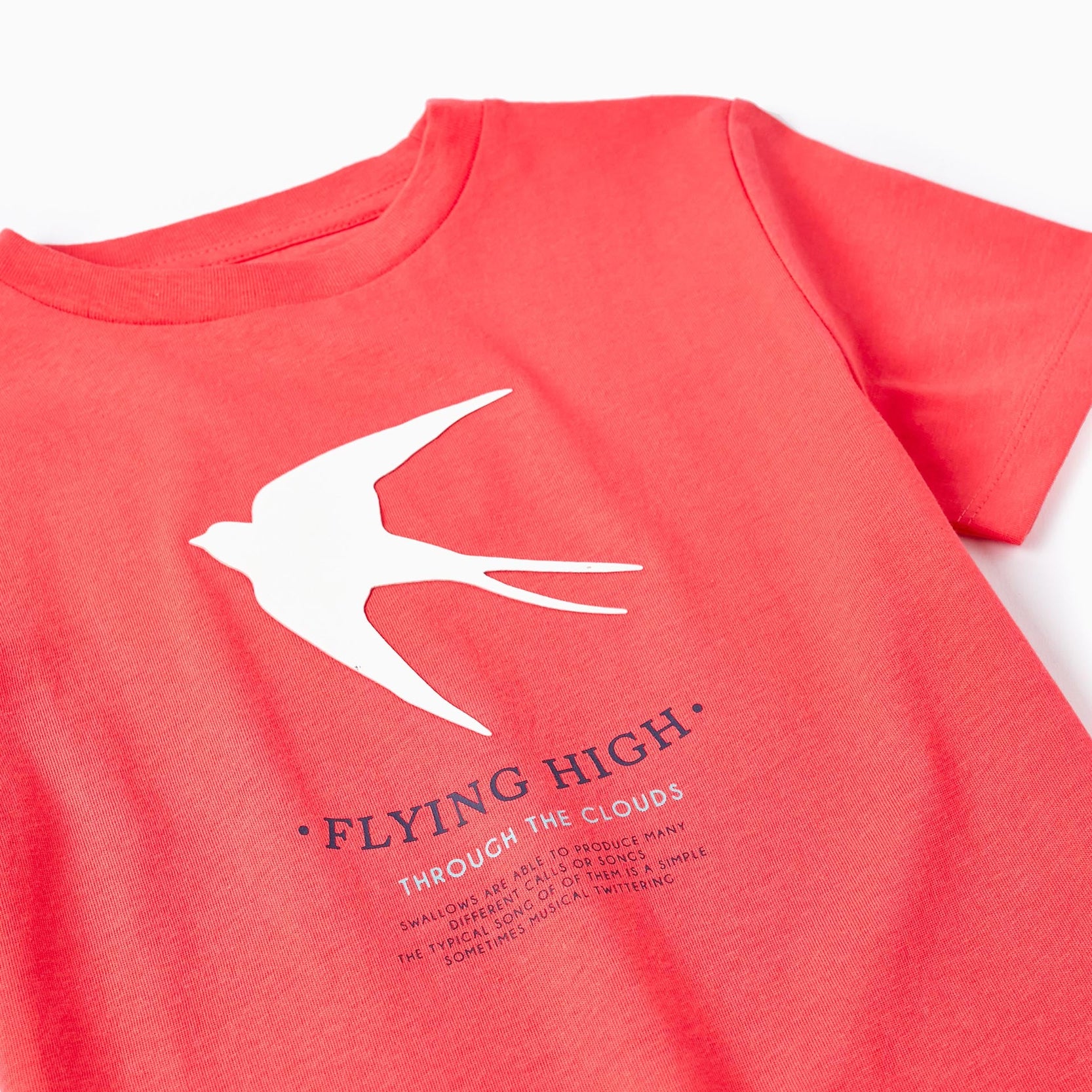 Short Sleeve T-Shirt for Boys 'Swallows', Red