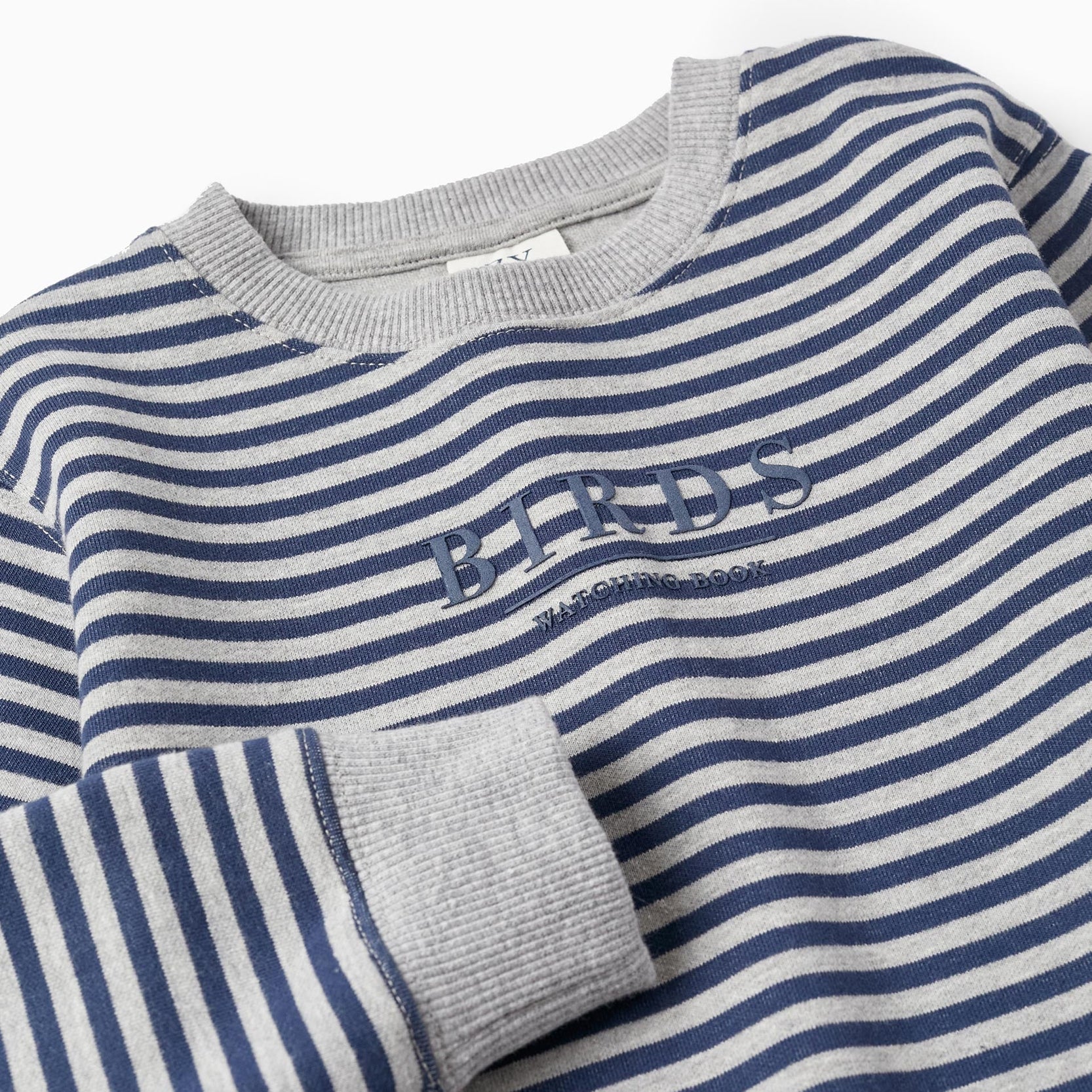 Striped Sweatshirt for Boys 'Birds', Dark Blue/Grey