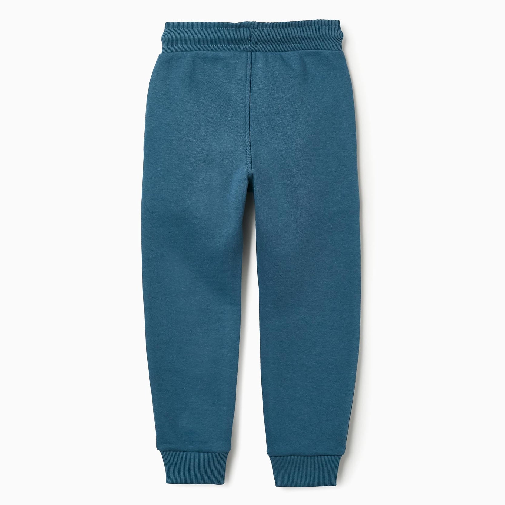 Fleece Joggers for Boys 'Automotive Gear', Turquoise