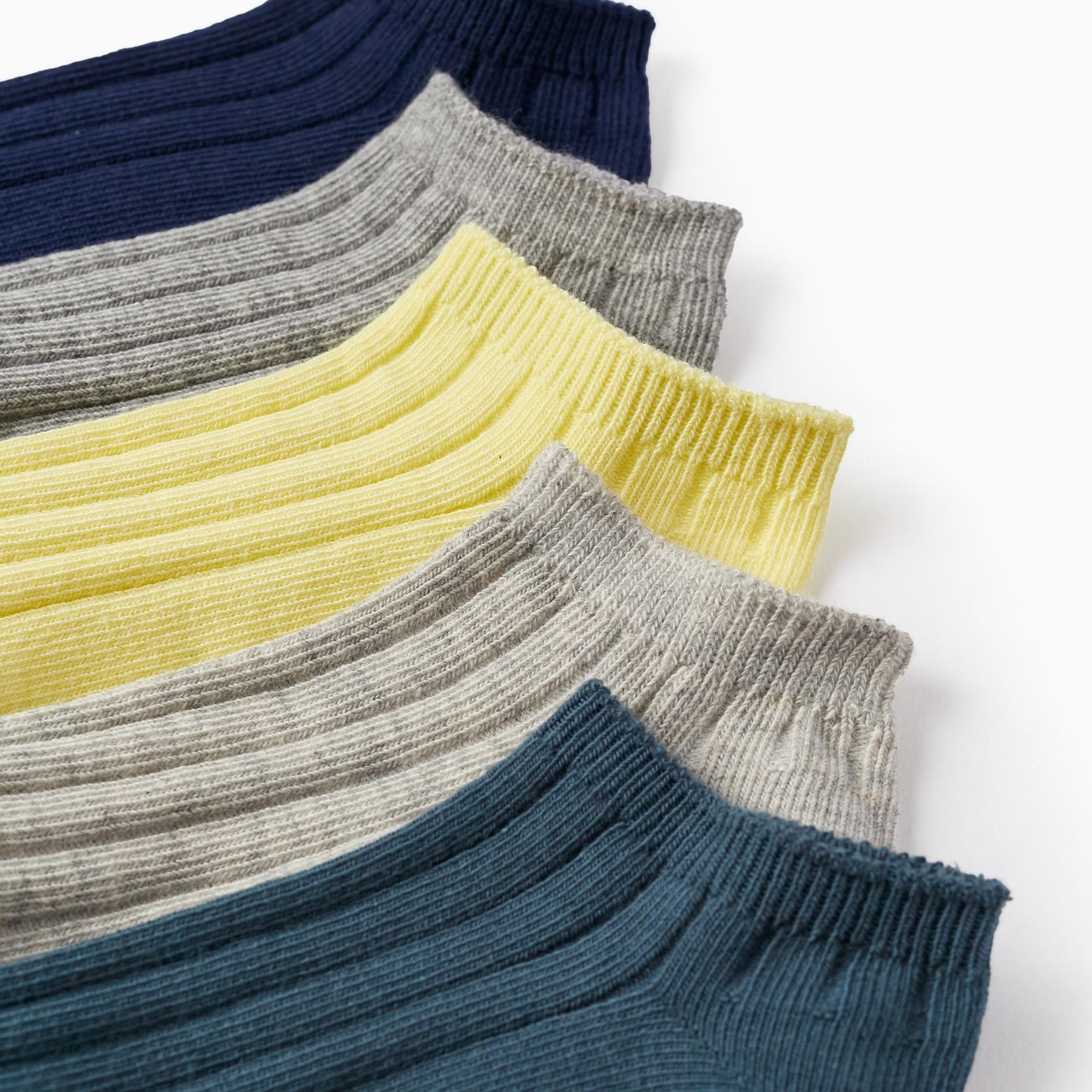 Pack of 5 Pairs of Ribbed Ankle Socks for Boys, Multicolour