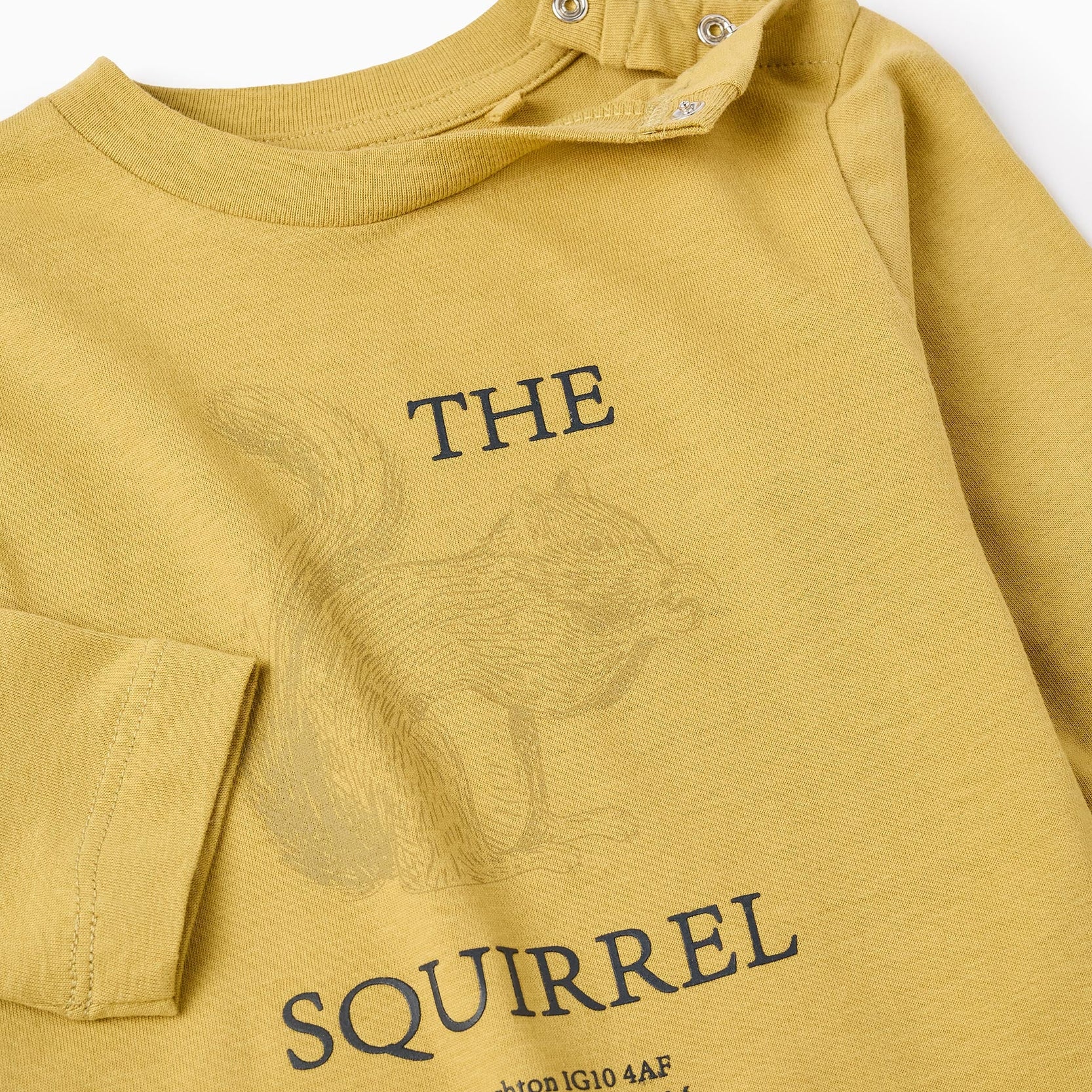 Long Sleeve T-shirt for Baby Boys 'Squirrel', Yellow