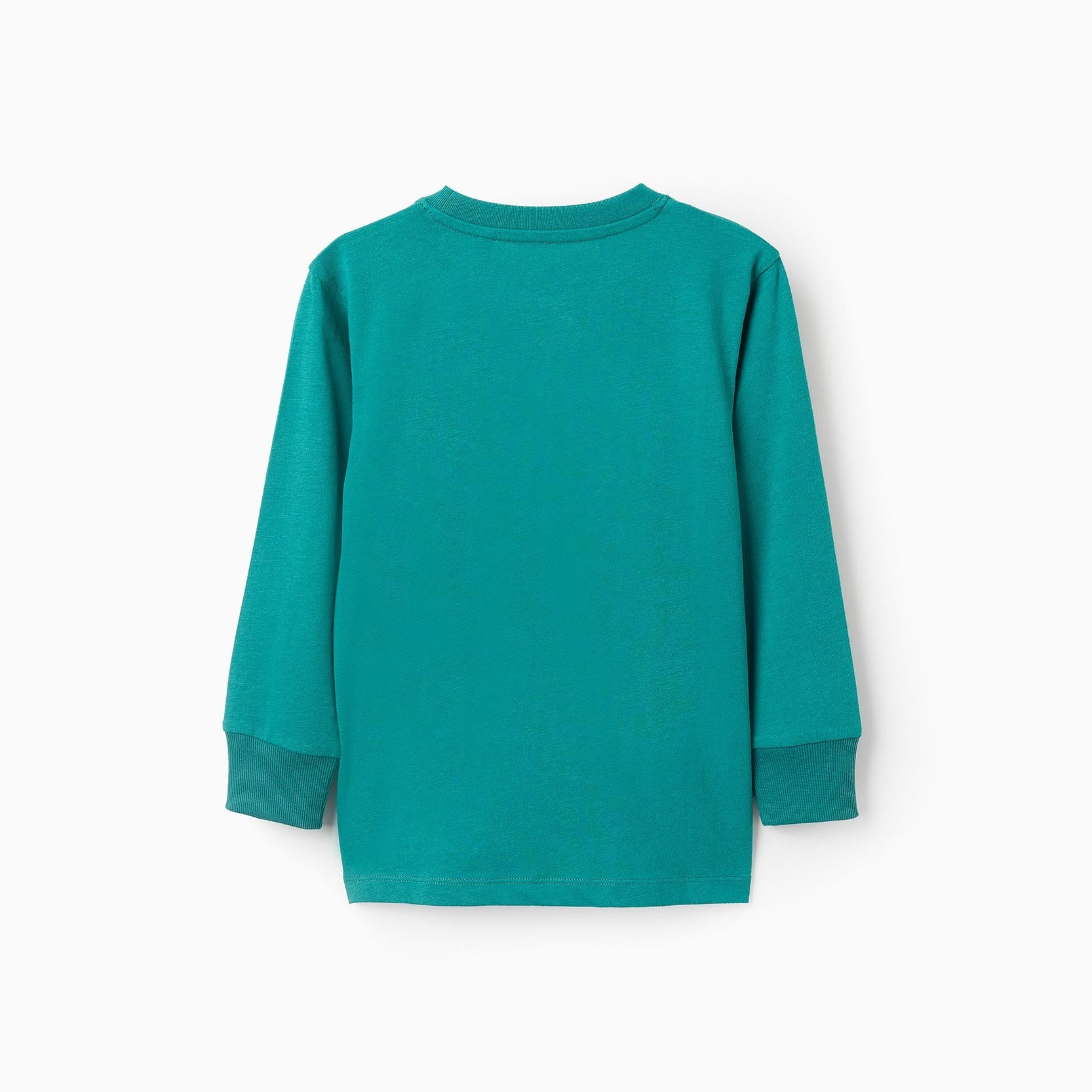 Long Sleeve T-shirt for Boys 'Taking Over', Green