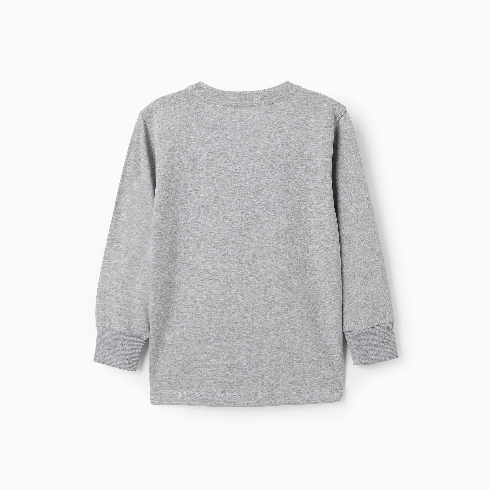 Long Sleeve T-shirt for Boys 'Urban Explorer', Grey