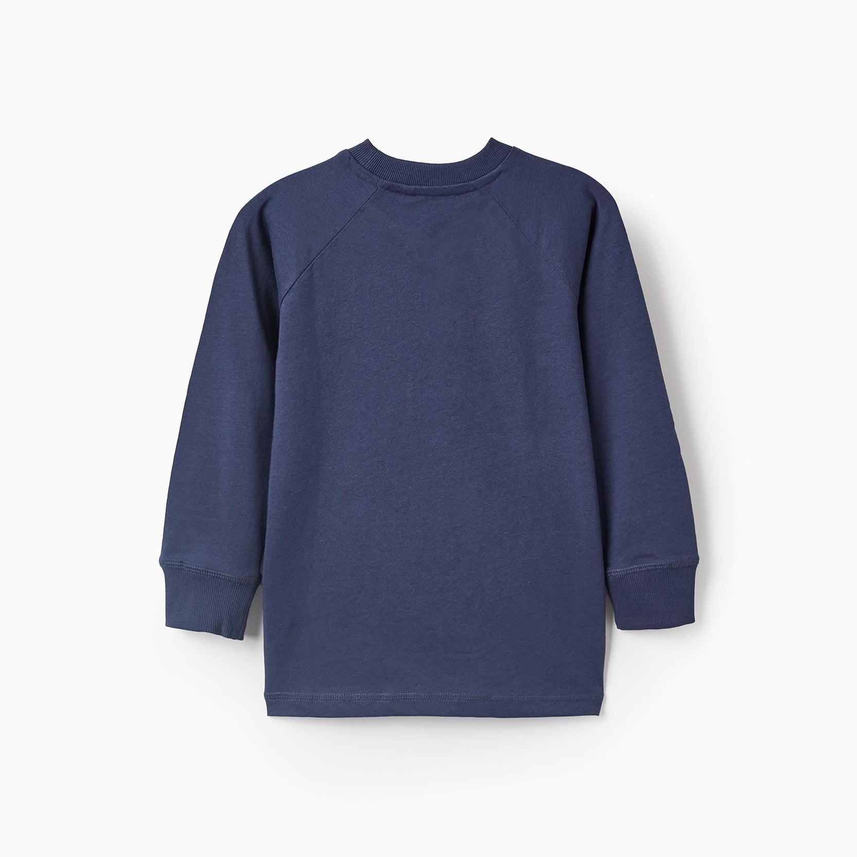 Long-sleeved T-shirt for Boys 'ZY Paris', Blue/White